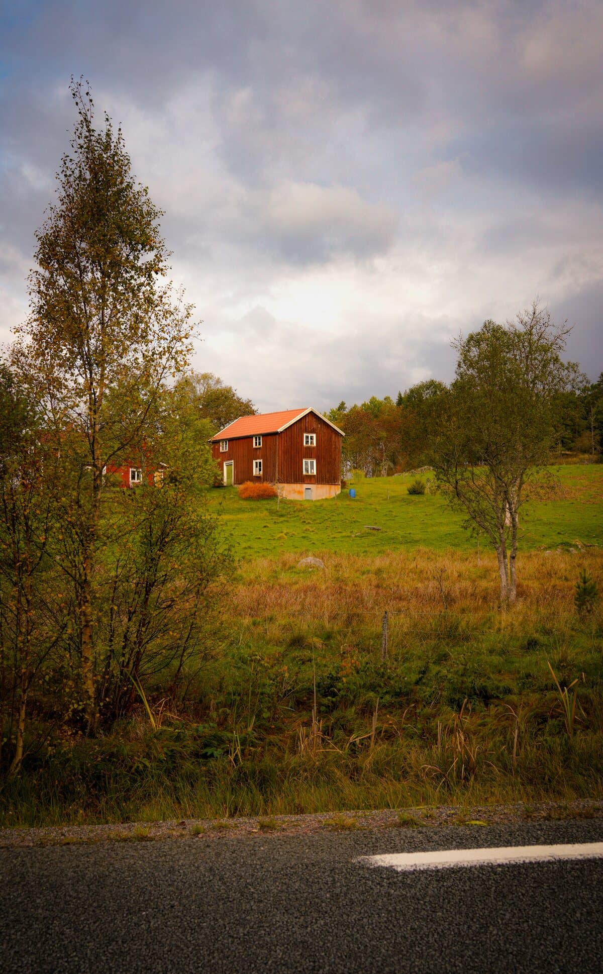 Trädgårdsåret i Alingsås – månad för månad